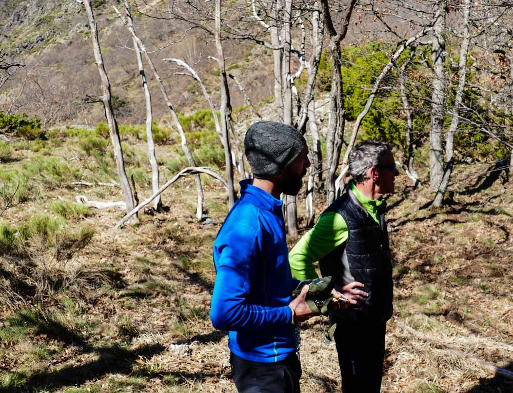 Consultoria Ambiental Pirynaicus 3 observació de l'os bru al Pirineu Consultoria Ambiental especialitzada en la gestió de l’os bru dels Pirineus